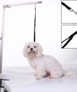 48 cm Nylon Leash for Small Medium-Sized Pets