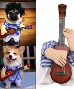 Cute Guitar Player Small Pet's Costume for Halloween Party